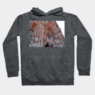 Carvings II Hoodie